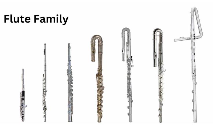 Flute family